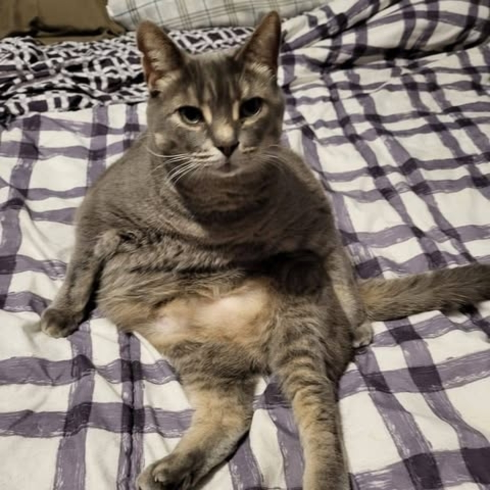 Meet your Posher, Julie